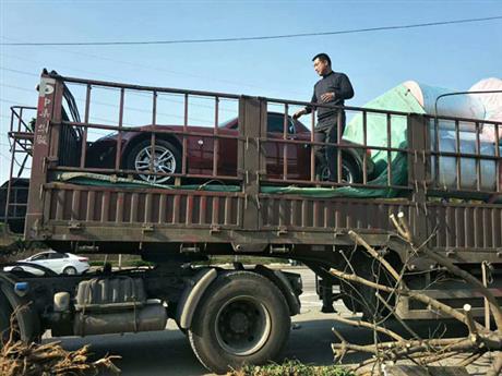 洛陽(yáng)轎車(chē)托運(yùn)公司